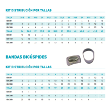 BANDAS MOLARES Y BICÚSPIDES