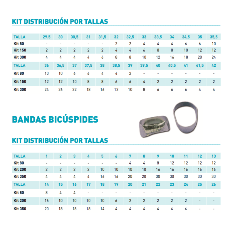 BANDAS MOLARES Y BICÚSPIDES