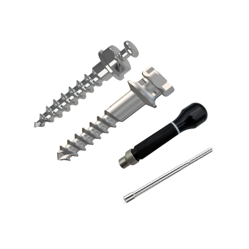 KIT BASIQUE MINI-VIS BIRA & BIRA HAT 10 U + TÊTE + POIGNÉE