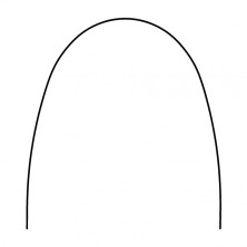 EUROPA I THERMAL NITI WIRES, ROUND (Volume Discount)